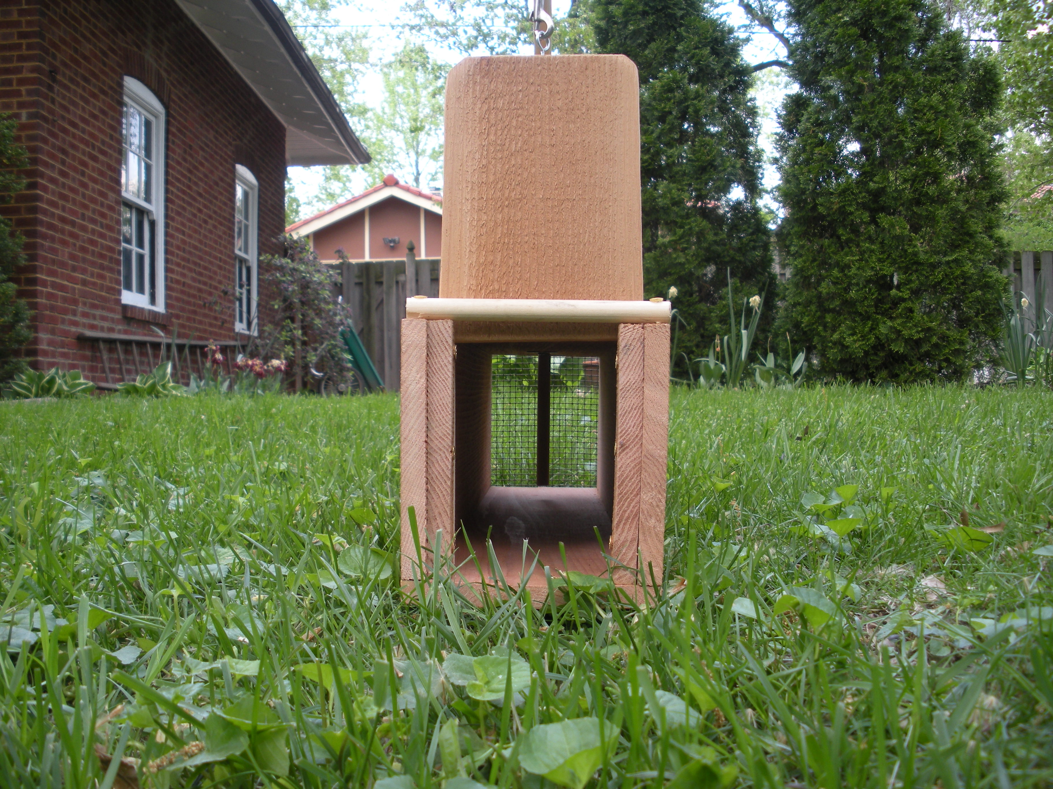 How to Build a Live Rabbit Box Trap